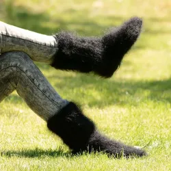 Hand Knitted Mohair Socks Luxurious Black Legwarmers Handgestrickte pullover by Extravagantza